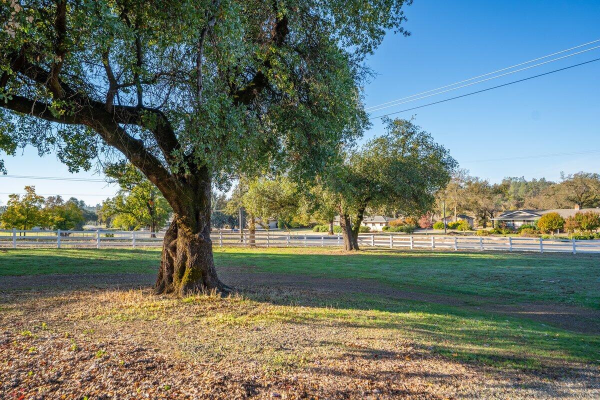 12269 Dry Creek Road Bella Vista, CA 96008 - Photo 69 of 74 12269 Dry Creek Rd - E-38
