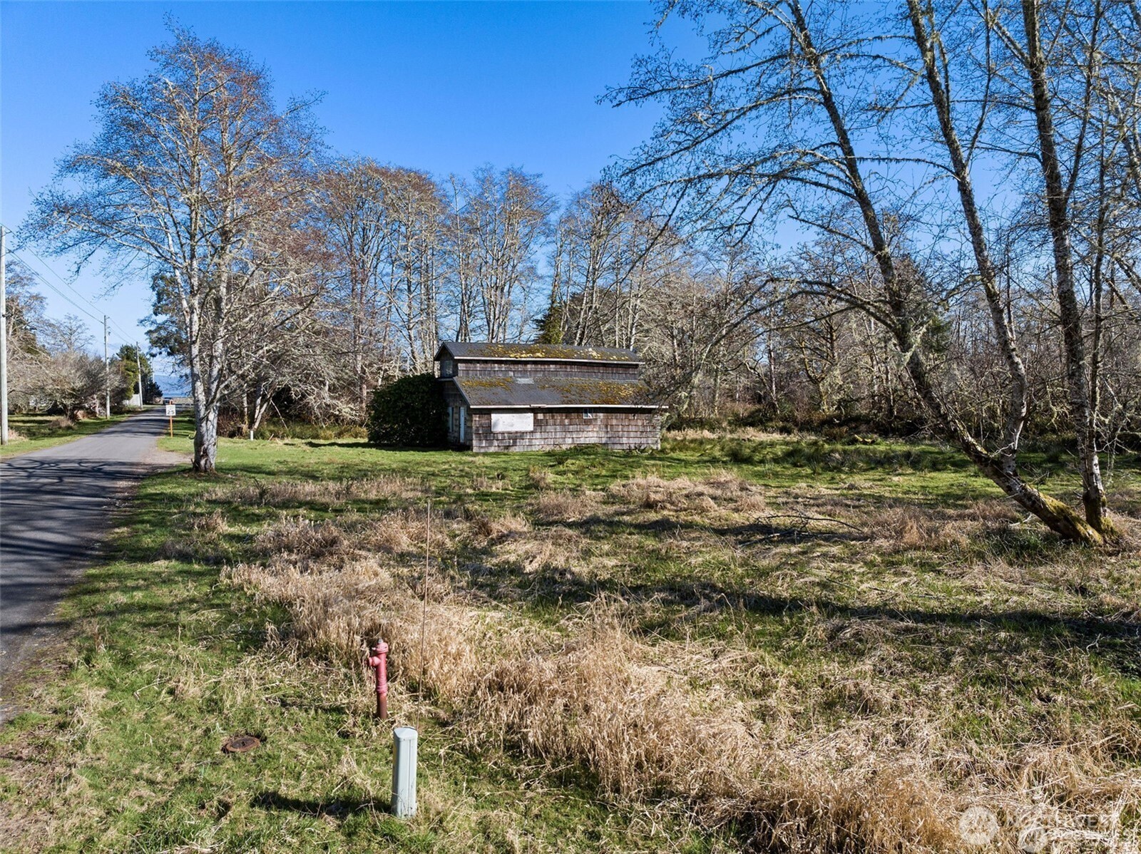 3212 Oysterville Road Oysterville, WA 98641 - Photo 7 of 12 a view of a backyard with large trees