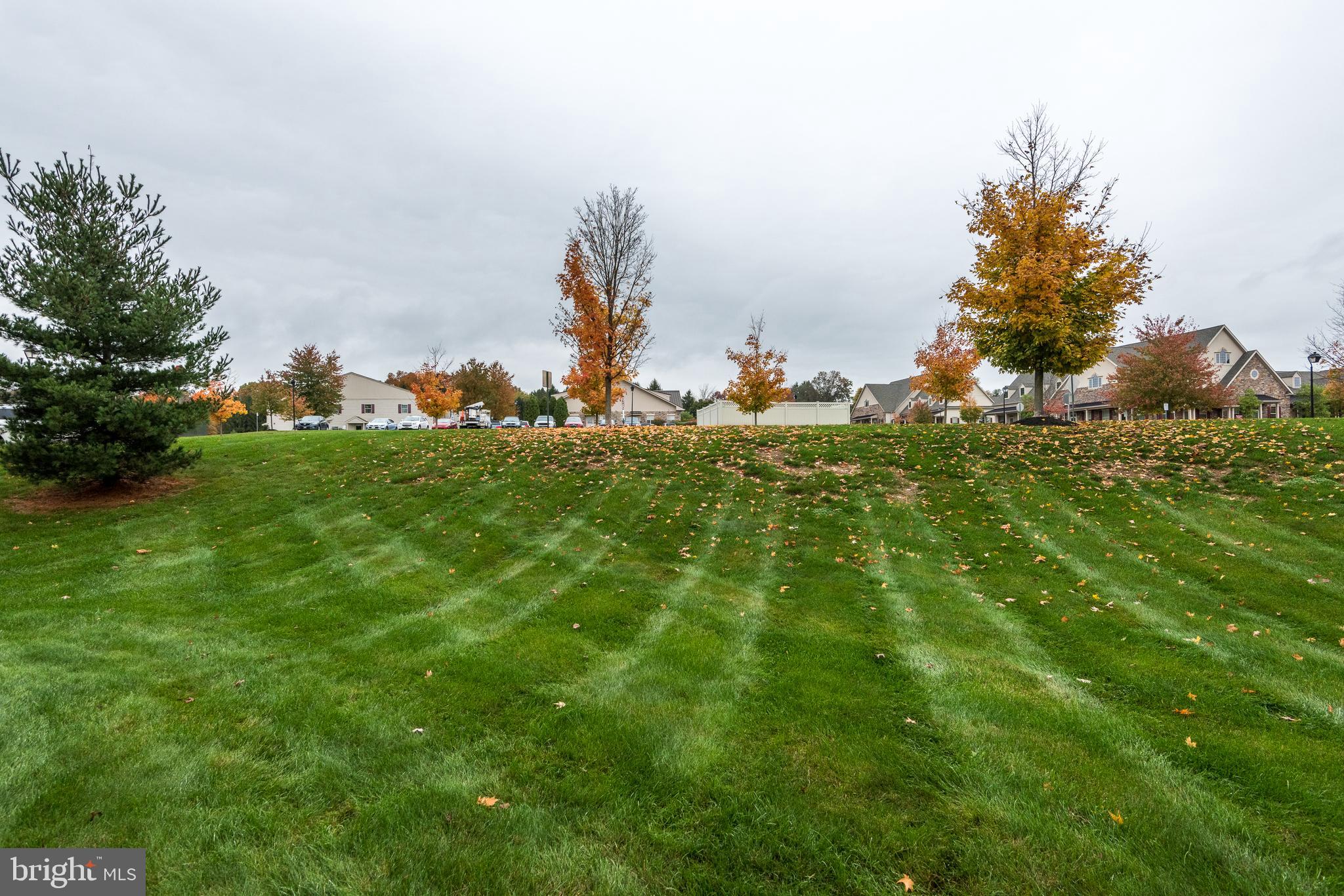 3233 Meadow View Circle, Unit 155 Furlong, PA 18925 - Photo 36 of 36 a backyard of a house with lots of green space