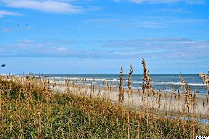 4392 Daphne Lane, Unit E Murrells Inlet, SC 29576 - Photo 32 of 35 Gallery Image 32