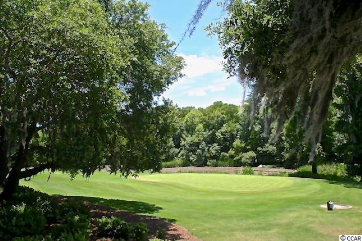 4392 Daphne Lane, Unit E Murrells Inlet, SC 29576 - Photo 34 of 35 Gallery Image 34