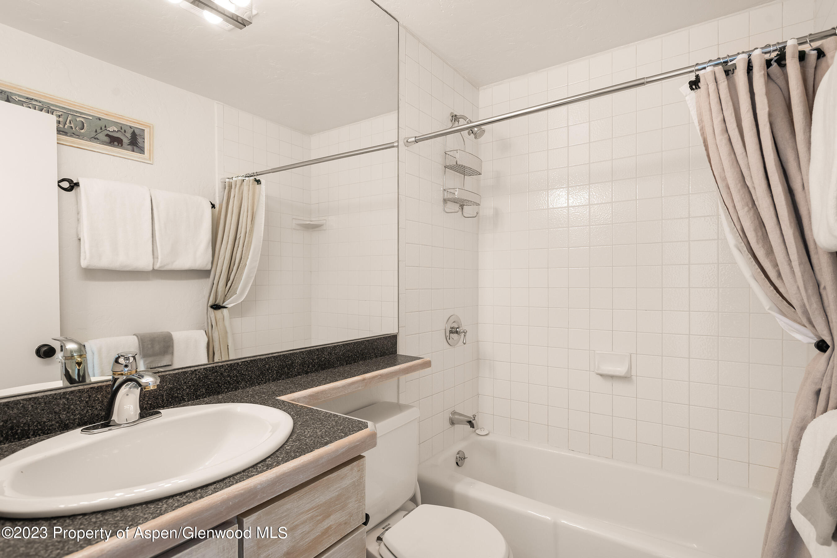 725 East Main Street, Unit 305 Aspen, CO 81611 - Photo 6 of 9 a bathroom with a granite countertop sink toilet and shower