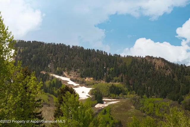 a view of a lake in middle of forest