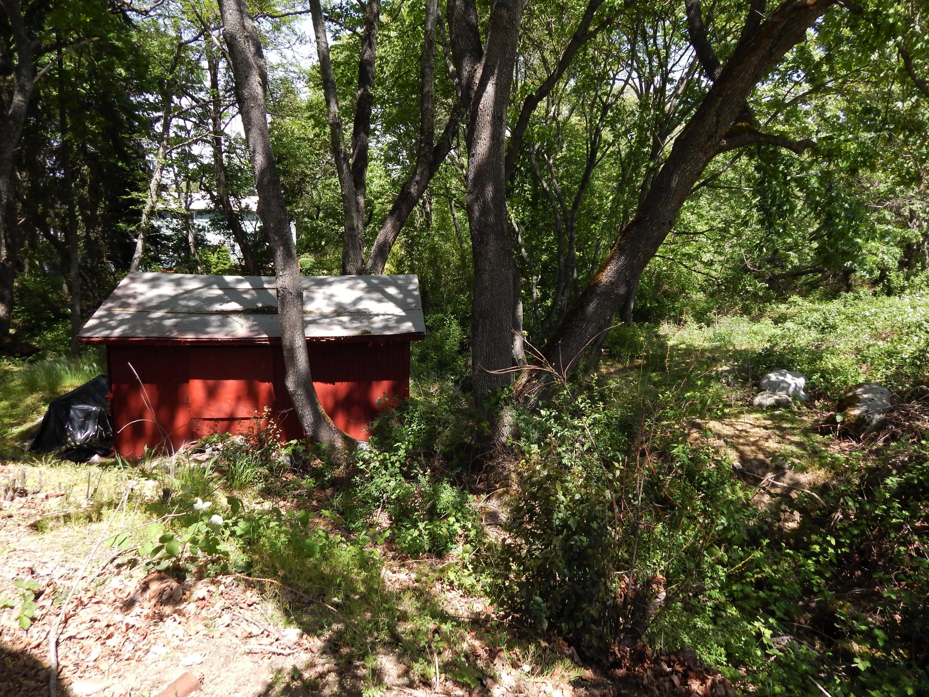 825 Neil Creek Road Ashland, OR 97520 - Photo 12 of 23 Lower shed