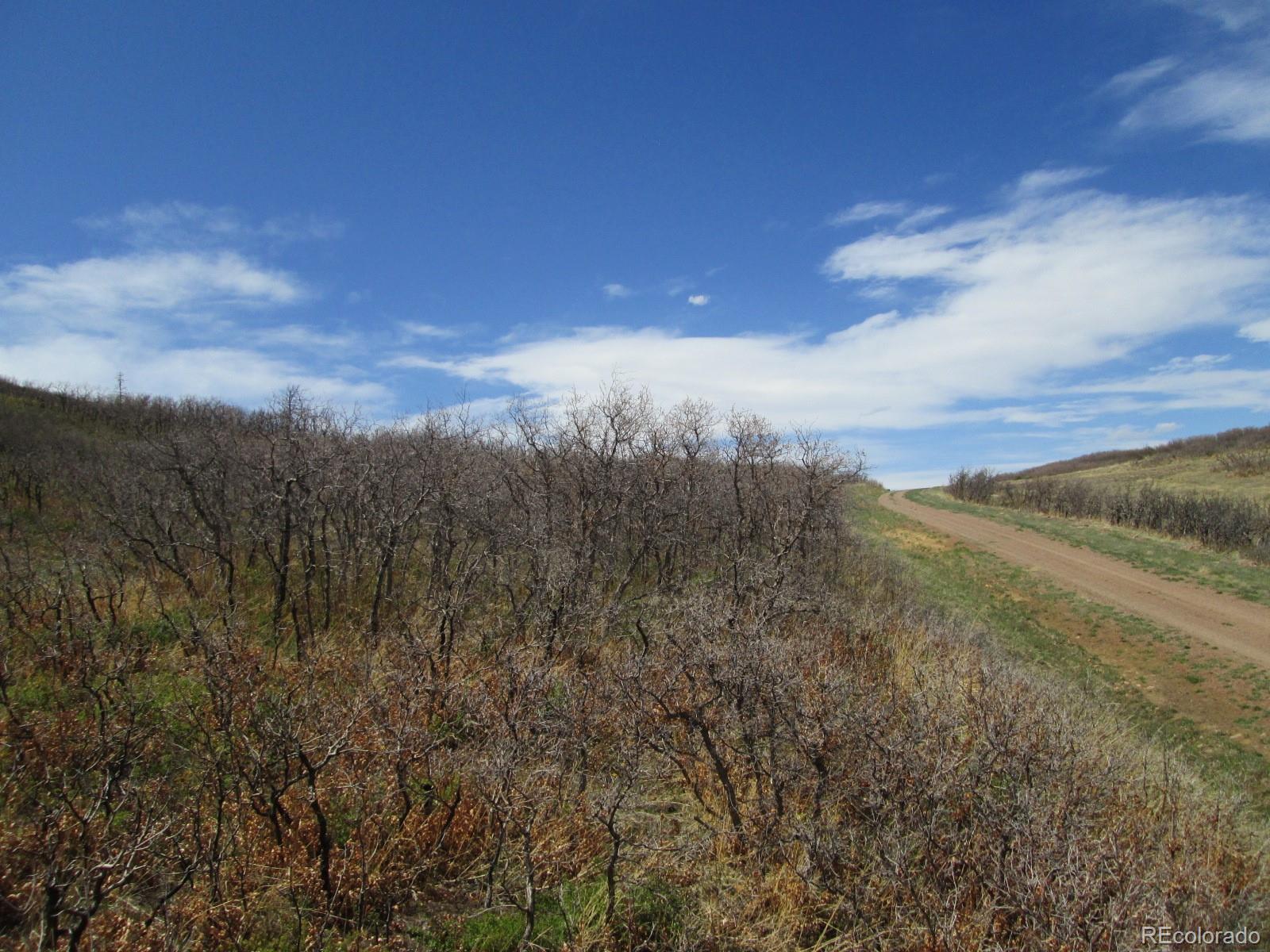 30 Raspberry Mountain Ranch La Veta, CO 81055 - Photo 11 of 13 Gallery Image 11