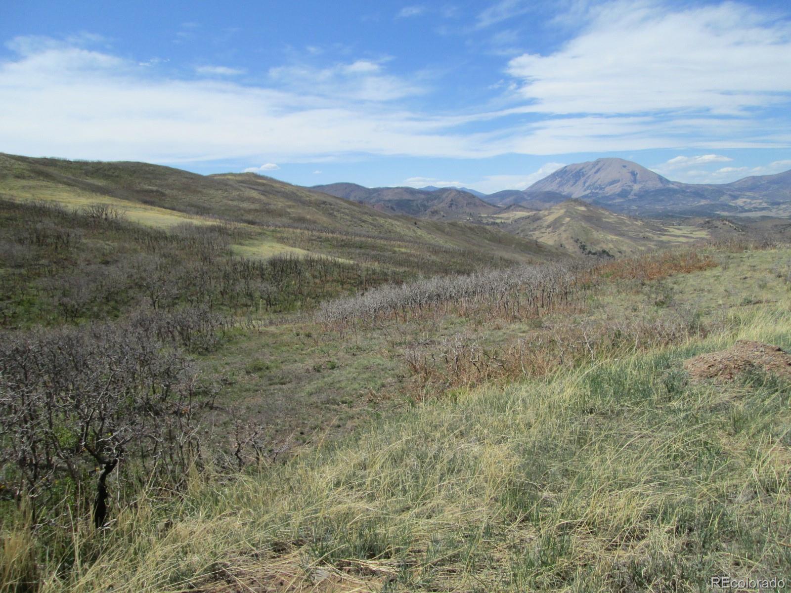 30 Raspberry Mountain Ranch La Veta, CO 81055 - Photo 3 of 13 Gallery Image 3