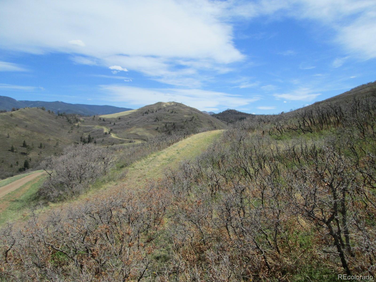 30 Raspberry Mountain Ranch La Veta, CO 81055 - Photo 10 of 13 Gallery Image 10
