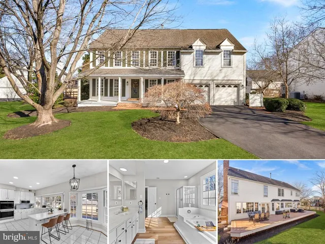 a view of a back yard of the house