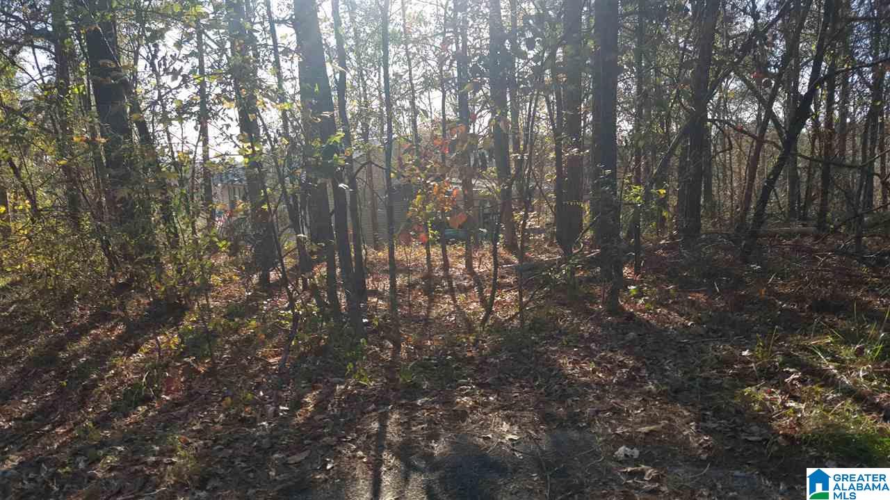 0 Haven Circle, Unit 39 Riverside, AL 35135 - Photo 19 of 32