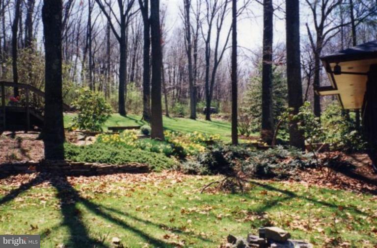 7236 Ridge Road Frederick, MD 21702 - Photo 14 of 20 Wooded View / Acreage