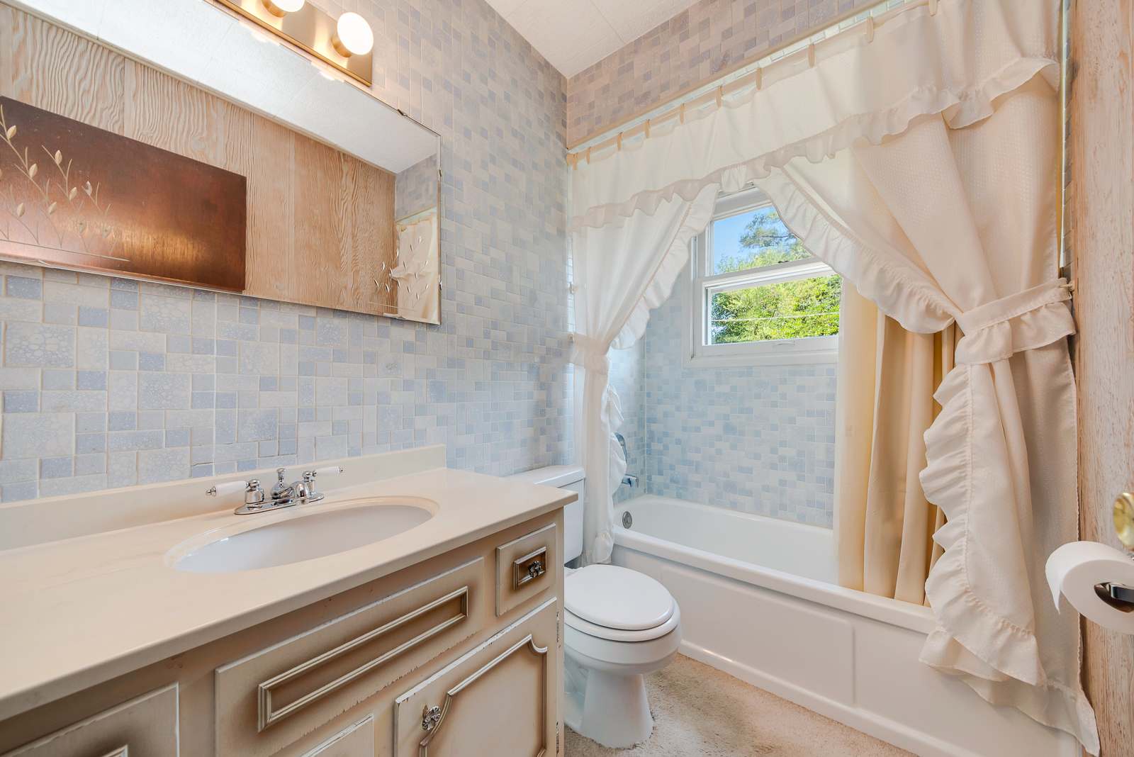 148 Thornhurst Road Bolingbrook, IL 60440 - Photo 6 of 15