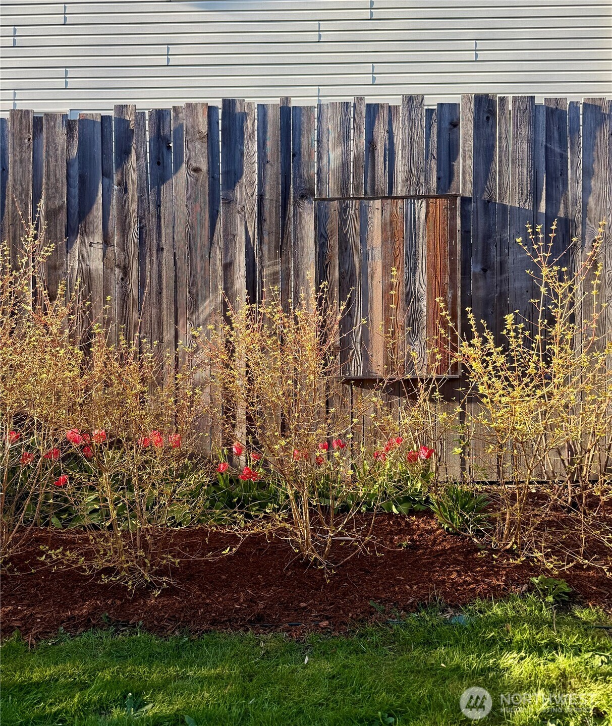 6528 23rd Avenue Southwest Seattle, WA 98106 - Photo 34 of 39 a view of a backyard with wooden fence