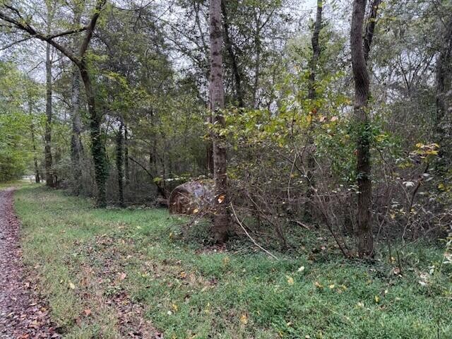 4 Fagin Road Madisonville, TN 37354 - Photo 6 of 16 Gallery Image 6