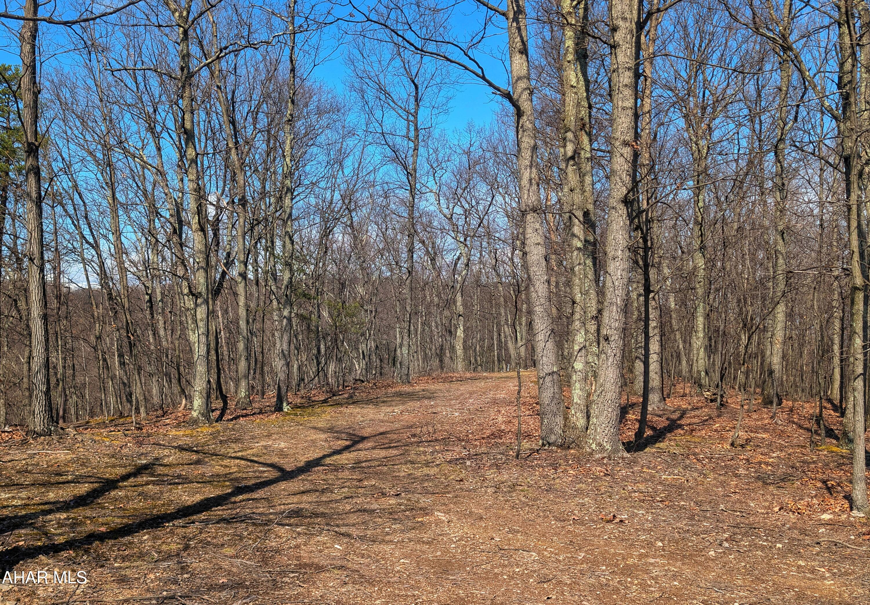 0 Pine Ridge Road Saxton, PA 16678 - Photo 18 of 23