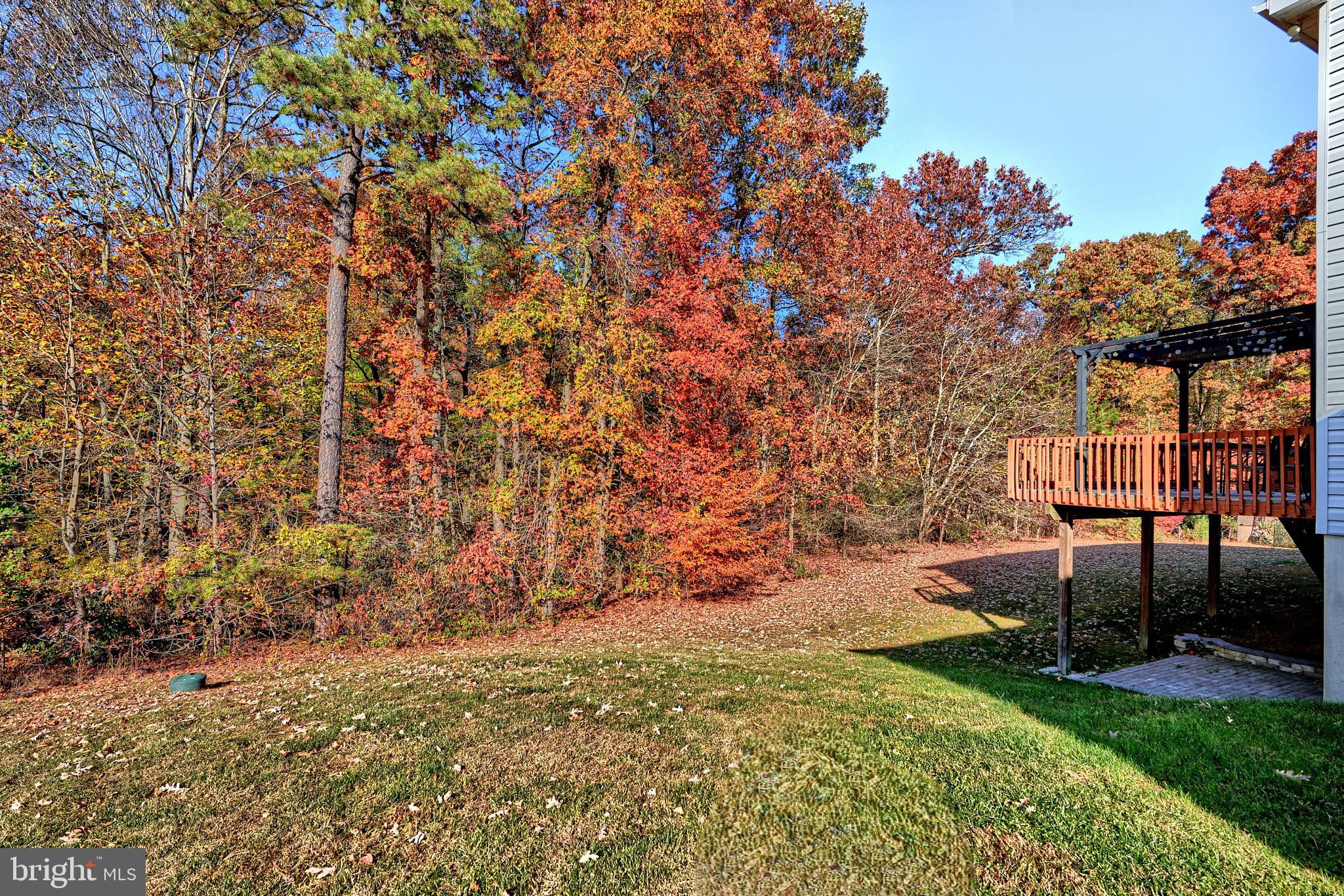 74 Range Road North East, MD 21901 - Photo 50 of 52 Gallery Image 50
