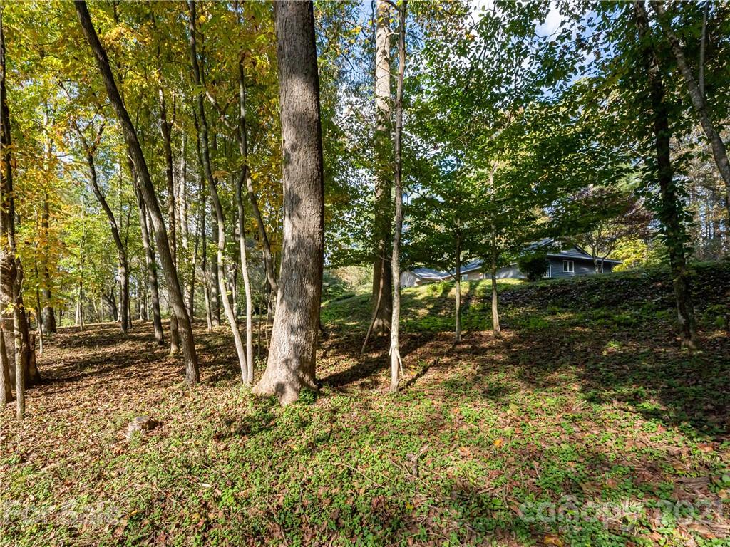 716 Island Ford Road Brevard, NC 28712 - Photo 46 of 48 Gallery Image 46