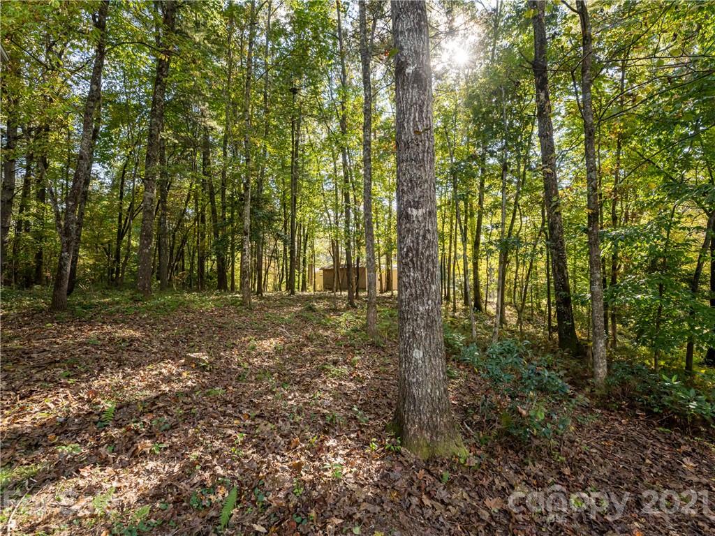 716 Island Ford Road Brevard, NC 28712 - Photo 48 of 48 Gallery Image 48