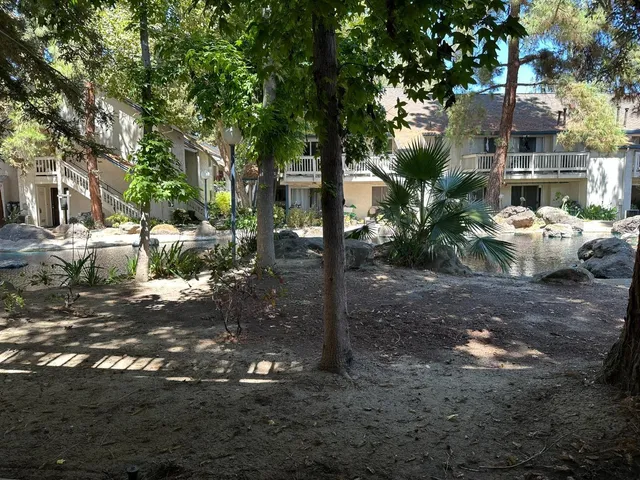 a view of a yard with plants and large trees
