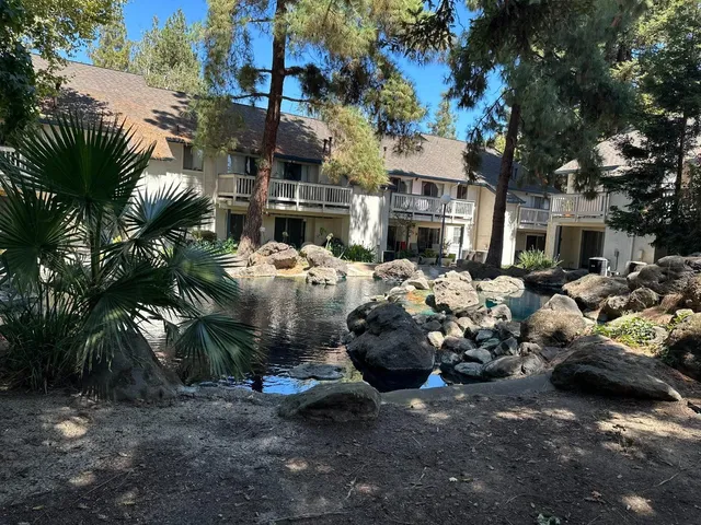 a backyard of a house with table and chairs plants and large trees