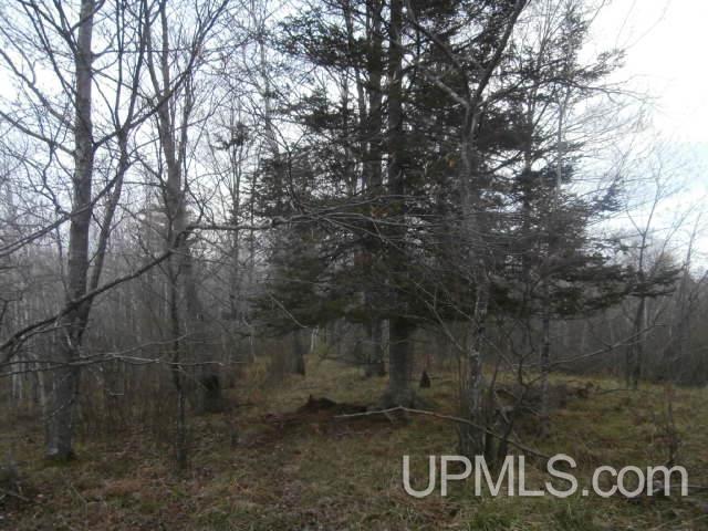 39.30-ac Armstrong Lake Road Crystal Falls, MI 49920 - Photo 15 of 24