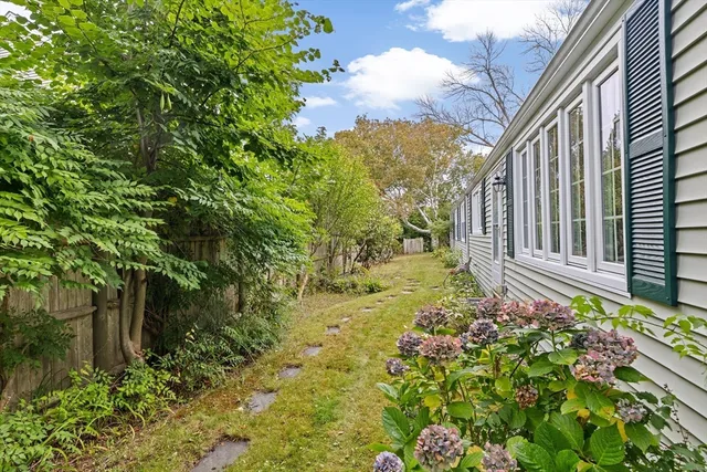 a view of a garden with flower plants