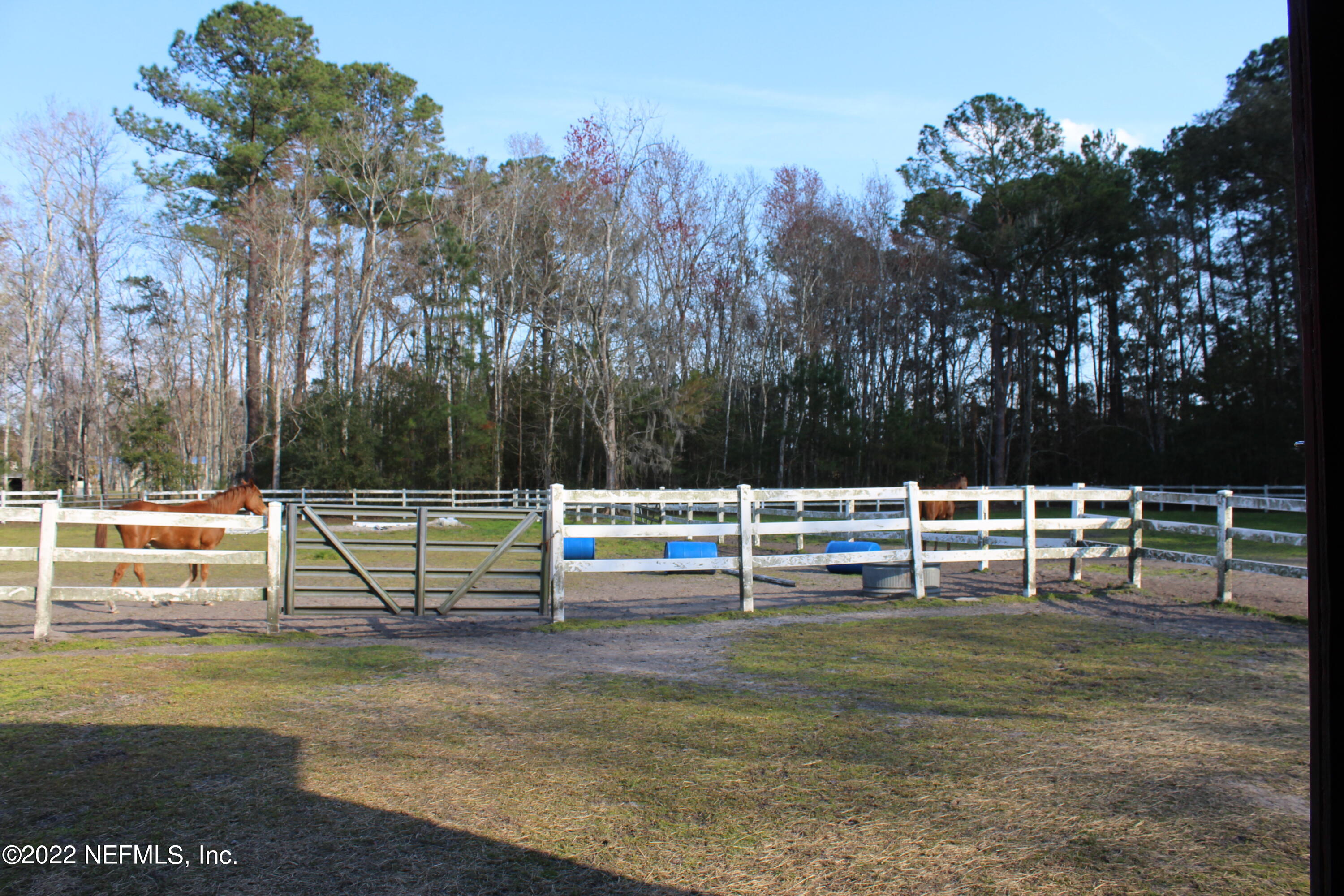2515 Quail Roost Road Middleburg, FL 32068 - Photo 31 of 36 IMG_5056