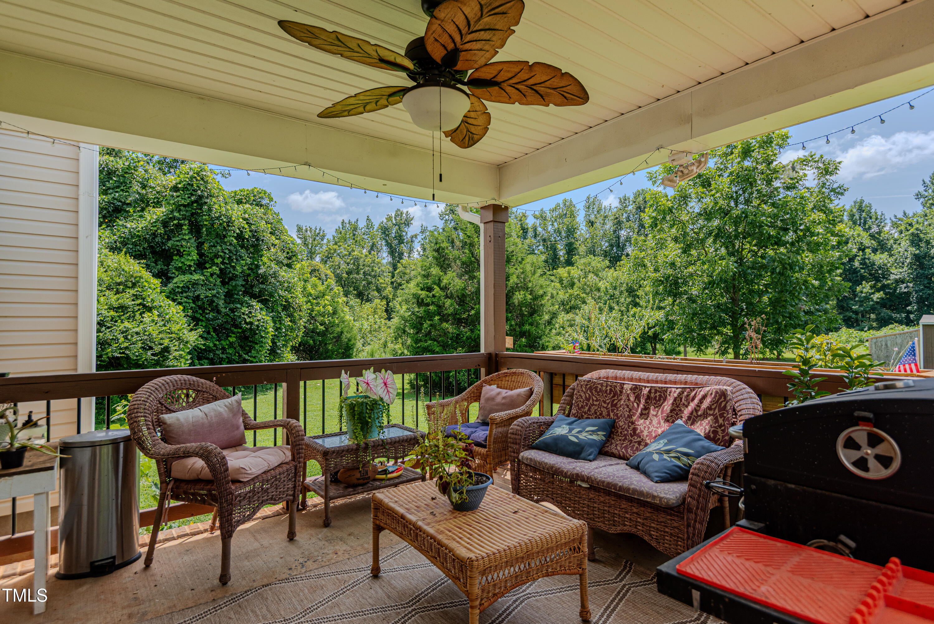 6439 Beale Road Snow Camp, NC 27349 - Photo 16 of 45 rearporch