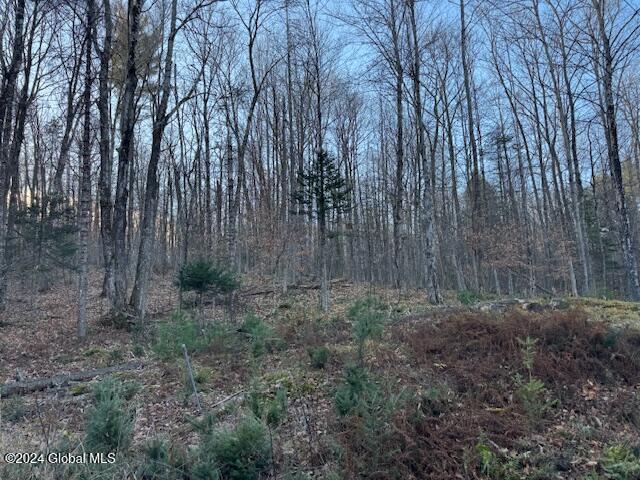 22.4 River Rd Creek Riparius, NY 12862 - Photo 2 of 7 IMG_0157