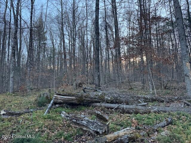 22.4 River Rd Creek Riparius, NY 12862 - Photo 4 of 7 IMG_0159