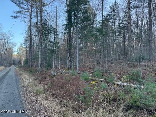 22.4 River Rd Creek Riparius, NY 12862 - Photo 6 of 7 IMG_0160