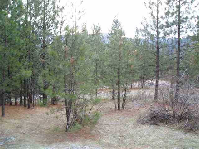 46-xx Hidden Road Springdale, WA 99173 - Photo 2 of 9 Gallery Image 2