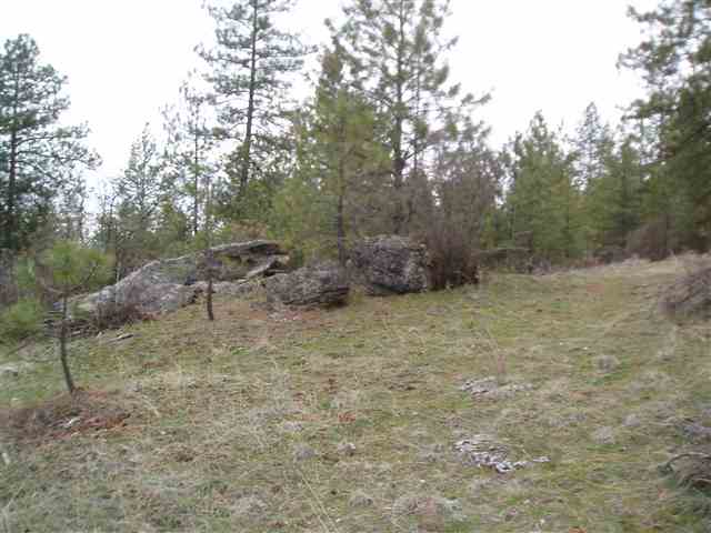46-xx Hidden Road Springdale, WA 99173 - Photo 4 of 9 Gallery Image 4