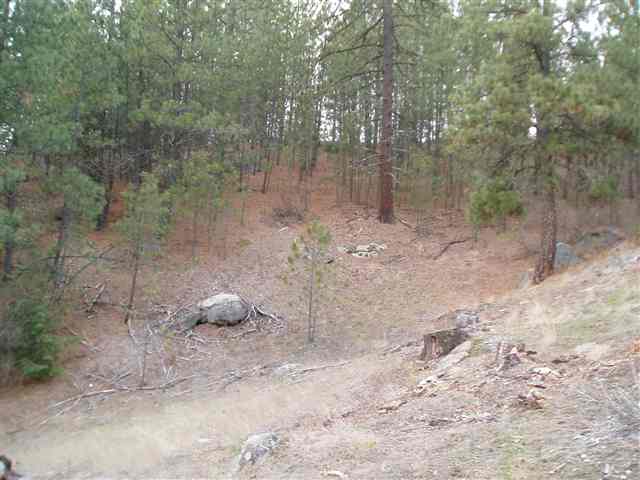 46-xx Hidden Road Springdale, WA 99173 - Photo 5 of 9 Gallery Image 5