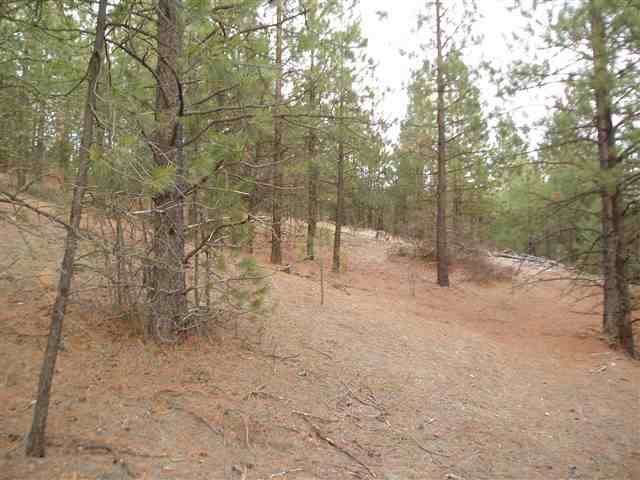 46-xx Hidden Road Springdale, WA 99173 - Photo 6 of 9 Gallery Image 6