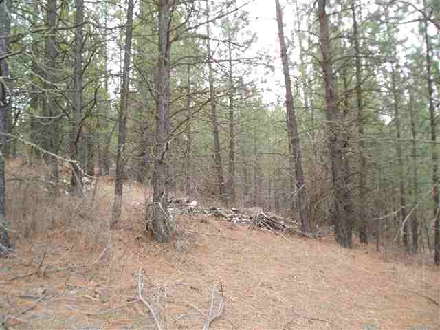 46-xx Hidden Road Springdale, WA 99173 - Photo 8 of 9 Gallery Image 8
