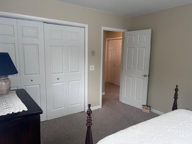 5746 Ridge Road Black River, MI 48721 - Photo 42 of 66 49-IMG_3883