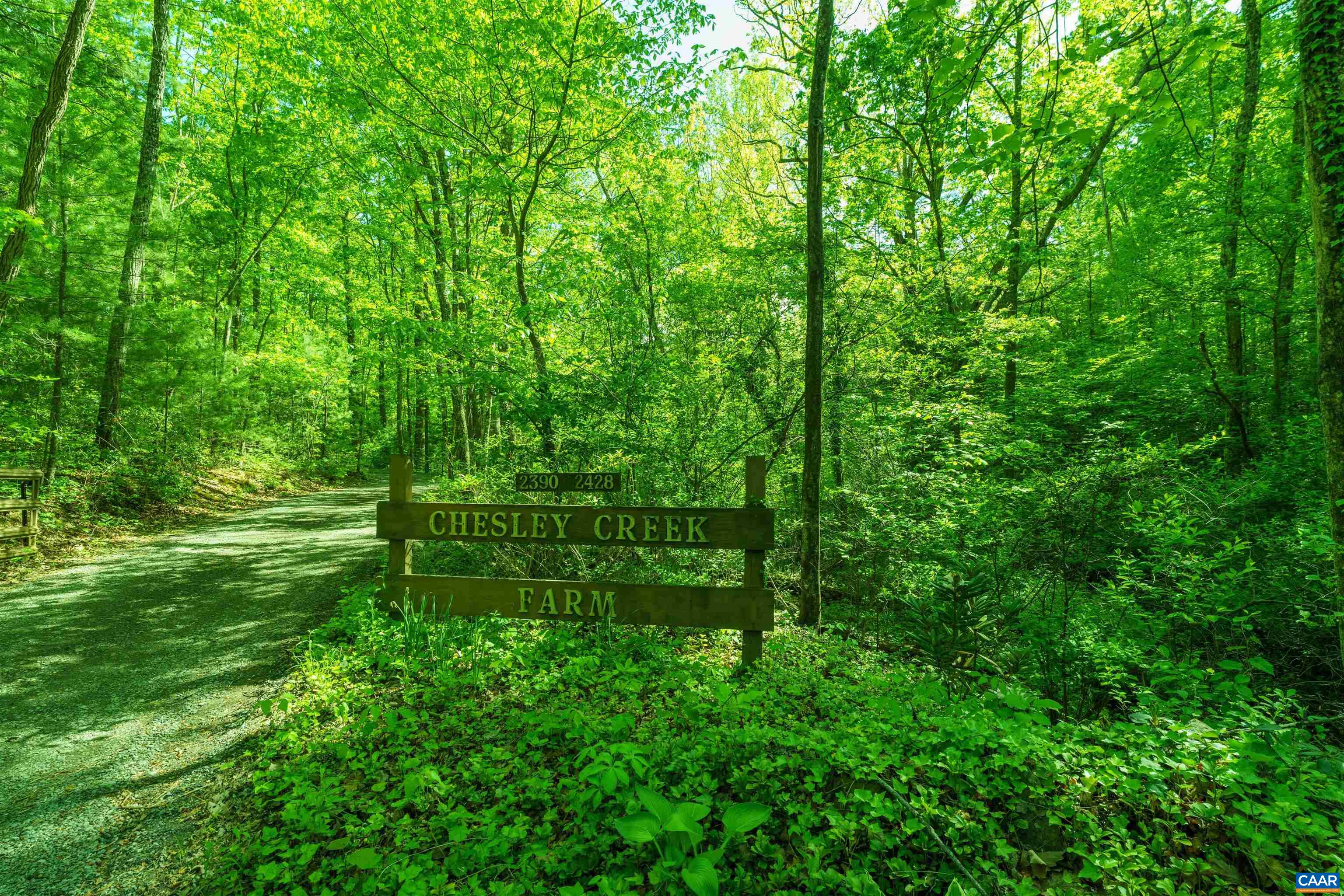 Lot A Brokenback Mountain Road Dyke, VA 22935 - Photo 4 of 15