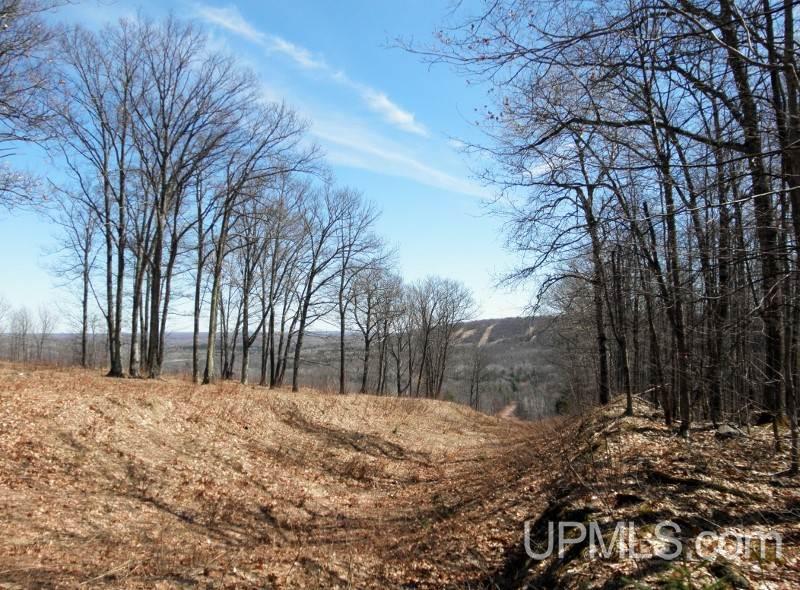 Tbd Tbd Mattson Camp Road Bessemer, MI 49911 - Photo 3 of 4 Gallery Image 3