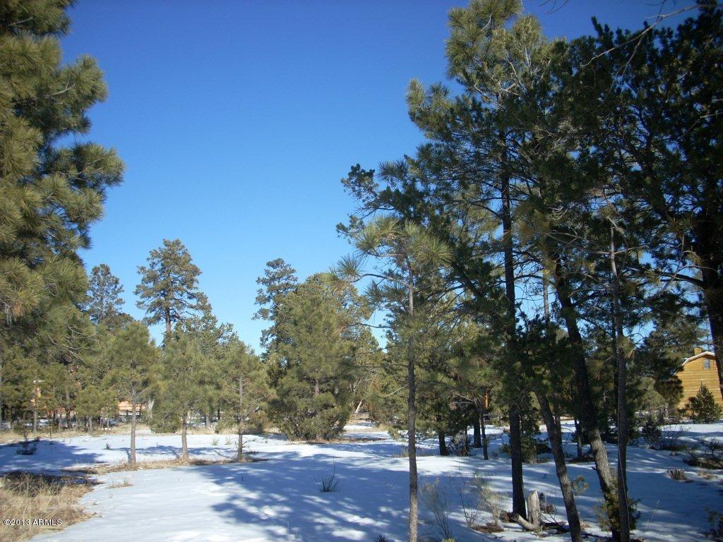 2012 Summer View, Unit 177 Overgaard, AZ 85933 - Photo 6 of 13 038