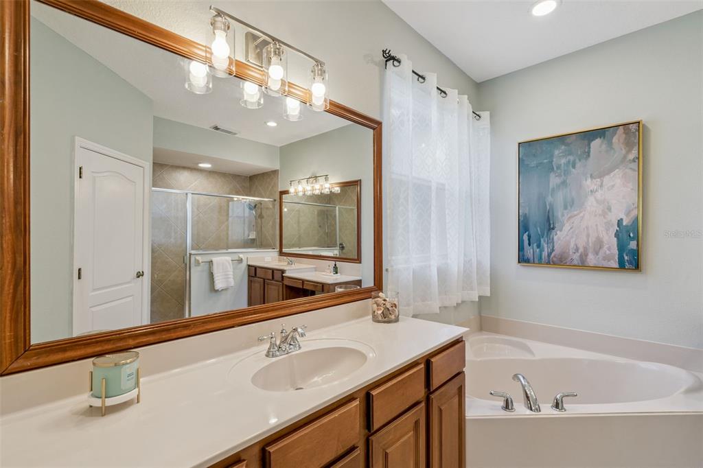 1471 Wescott Loop Winter Springs, FL 32708 - Photo 32 of 57 a bathroom with a tub sink and mirror