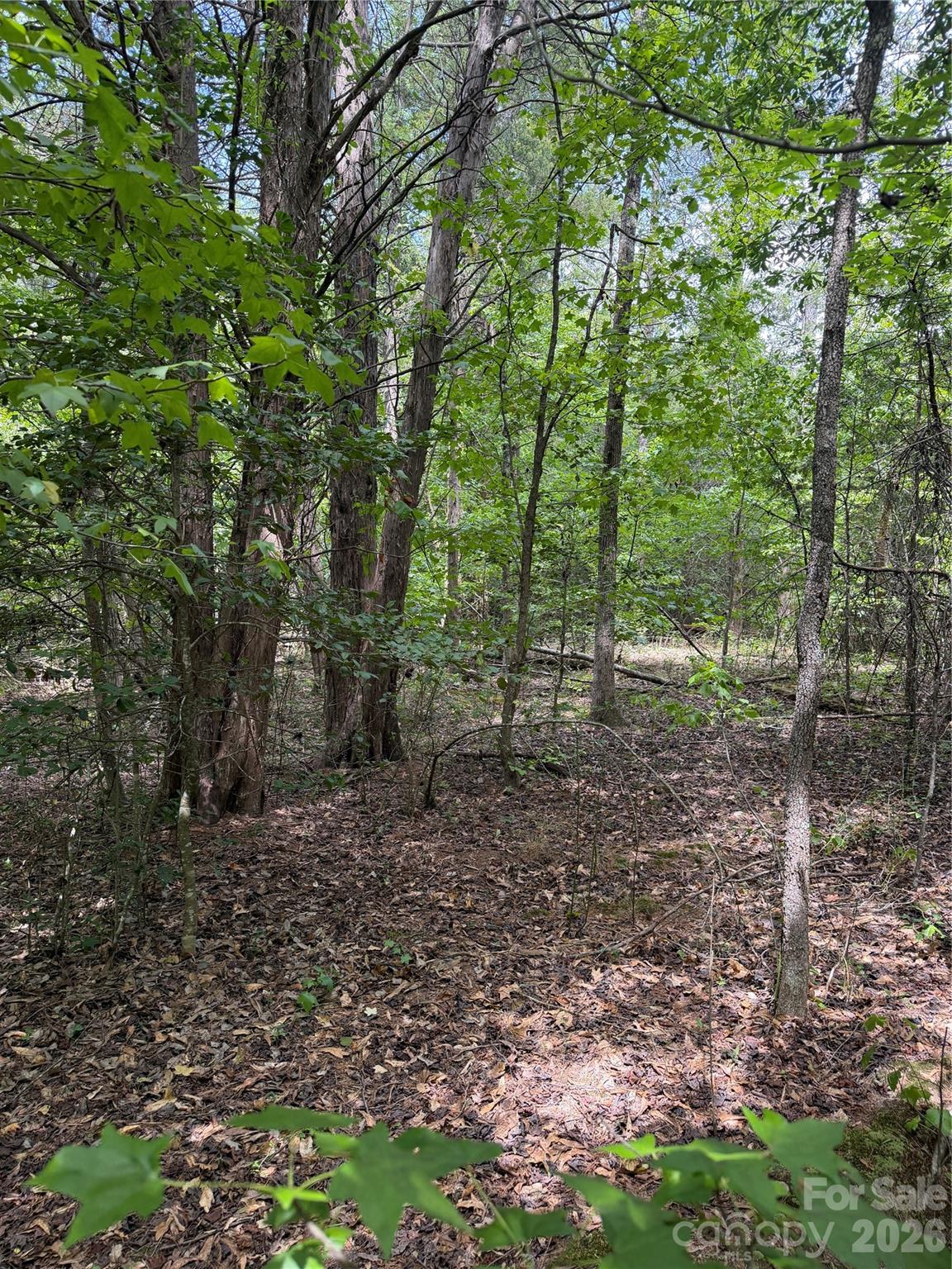 Tbd Sam Walker Road Catawba, SC 29704 - Photo 3 of 4