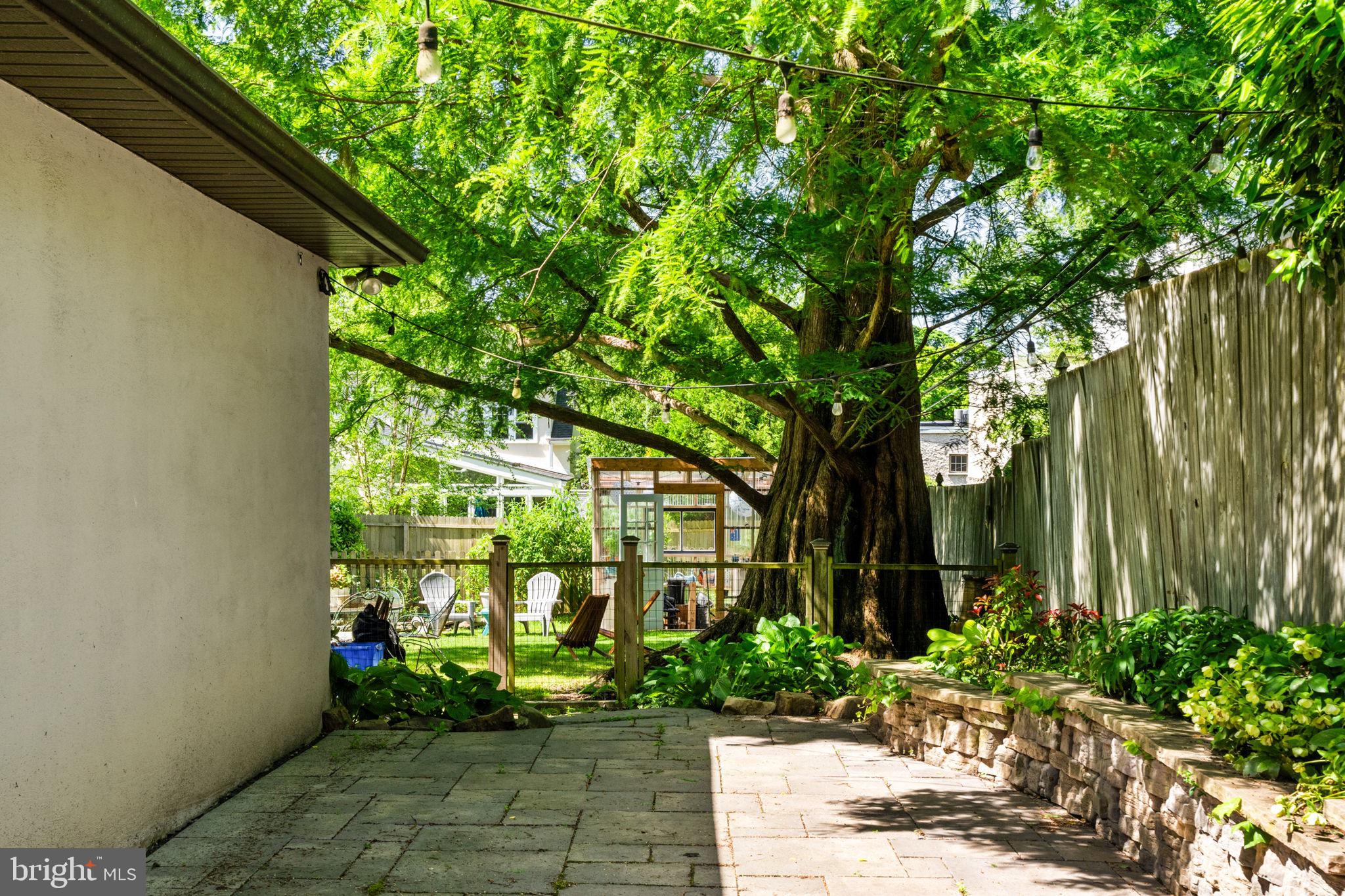 111 Hilltop Road Philadelphia, PA 19118 - Photo 61 of 68