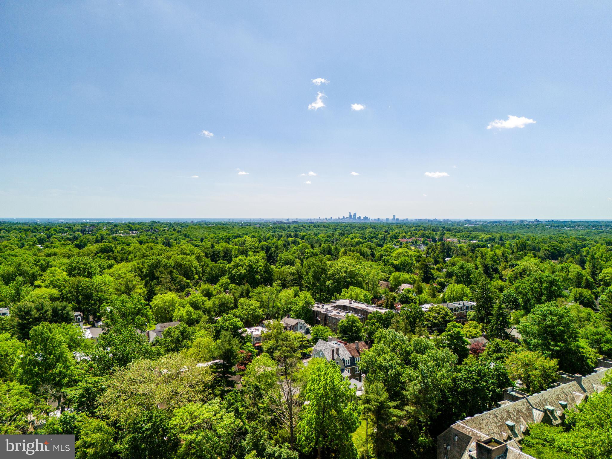 111 Hilltop Road Philadelphia, PA 19118 - Photo 66 of 68