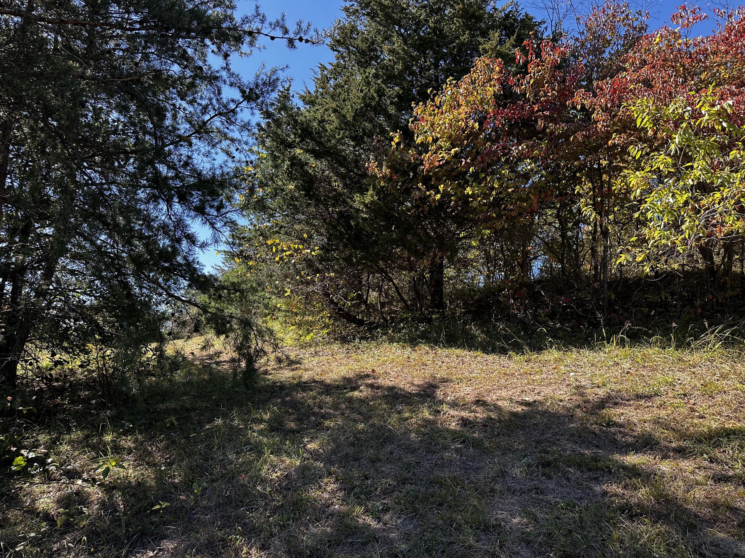 865 Hull Road, Unit TRACT 13 WOODS WAYNE FOREST) Patriot, OH 45658 - Photo 39 of 57 20241008_175528194_iOS