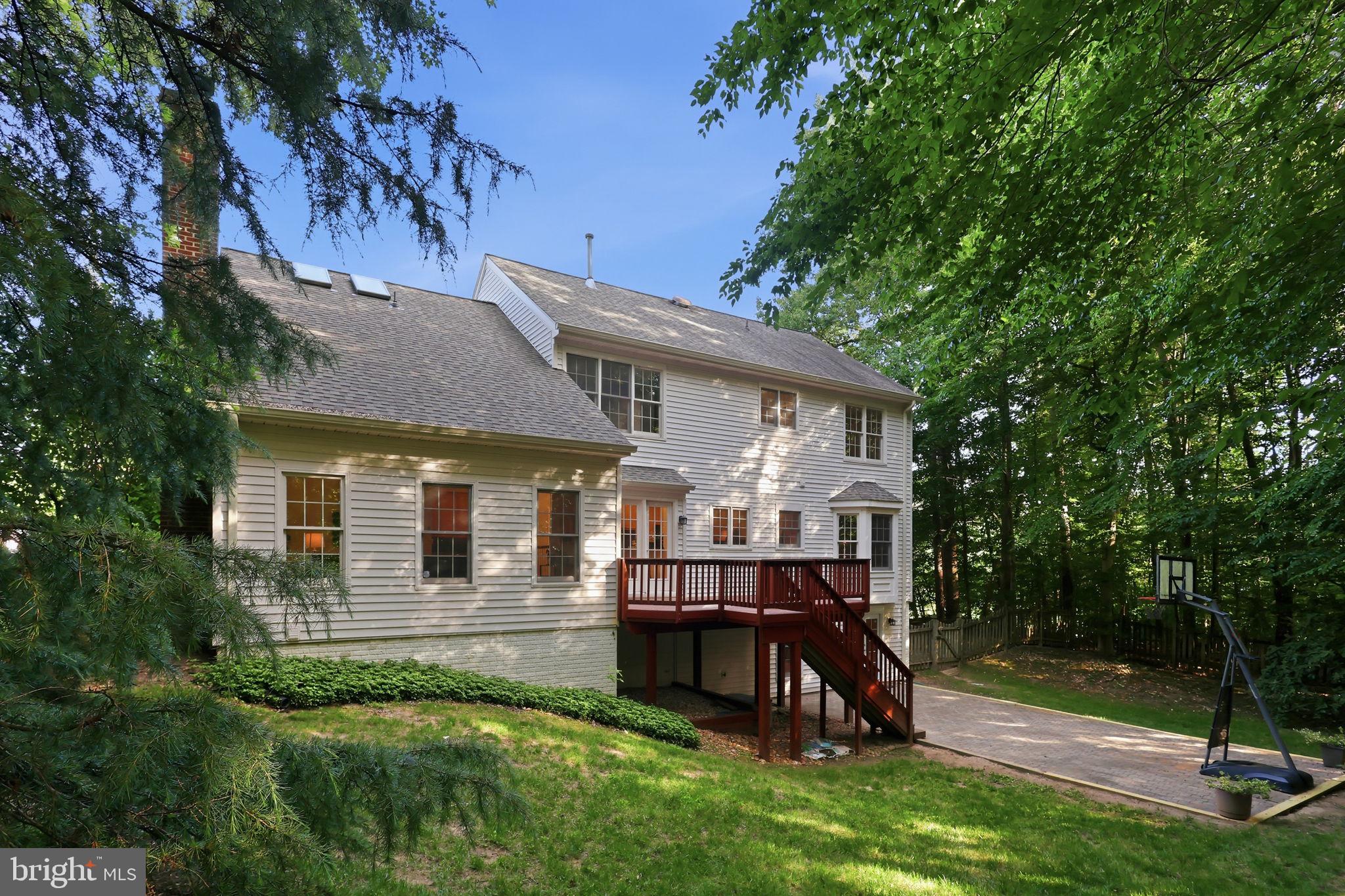 8556 Hooes Road Springfield, VA 22153 - Photo 49 of 57 So much privacy!