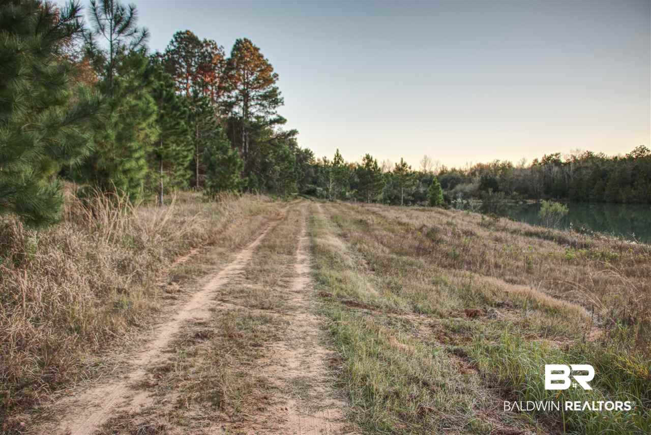 9747 Hickory Street South Foley, AL 36535 - Photo 11 of 14