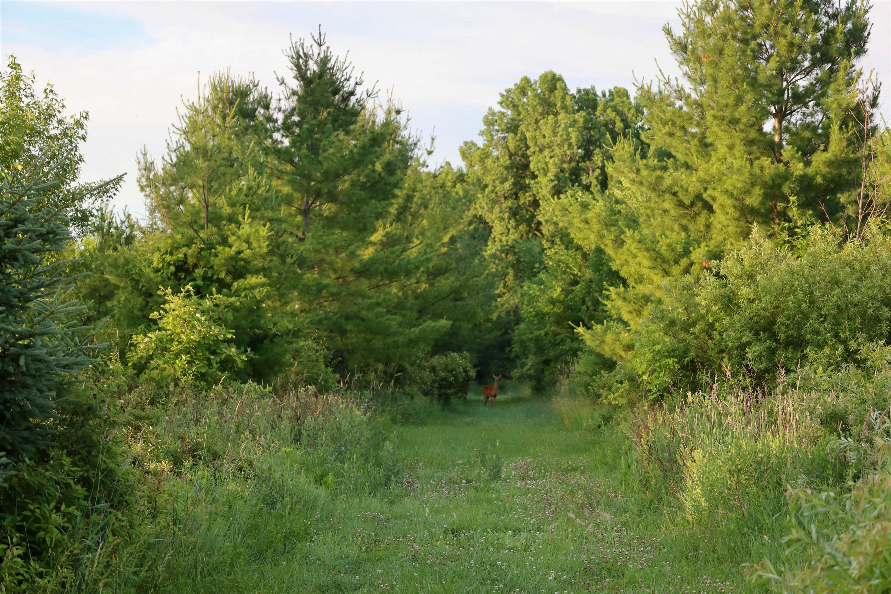 0 Kinker Road Fond du Lac, WI 54937 - Photo 34 of 36