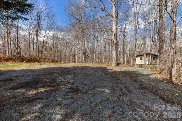 a view of dirt yard with a large tree