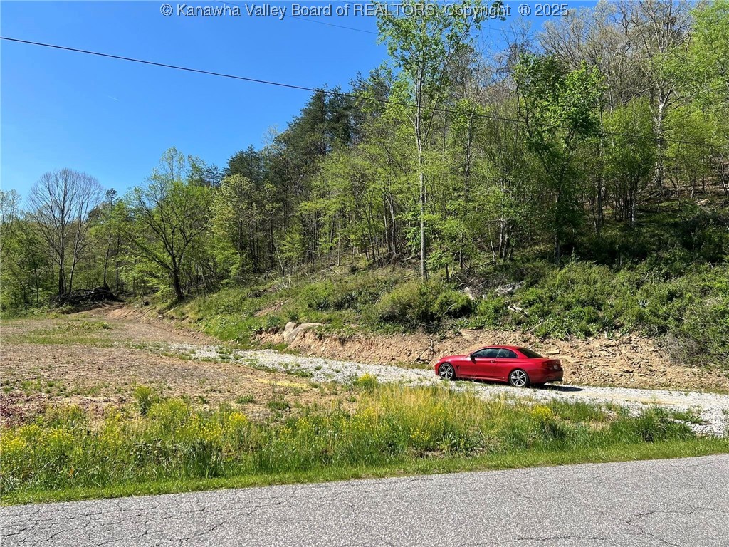 0 Upper Mud River Road Hamlin, WV 25523 - Photo 10 of 18 Gallery Image 10