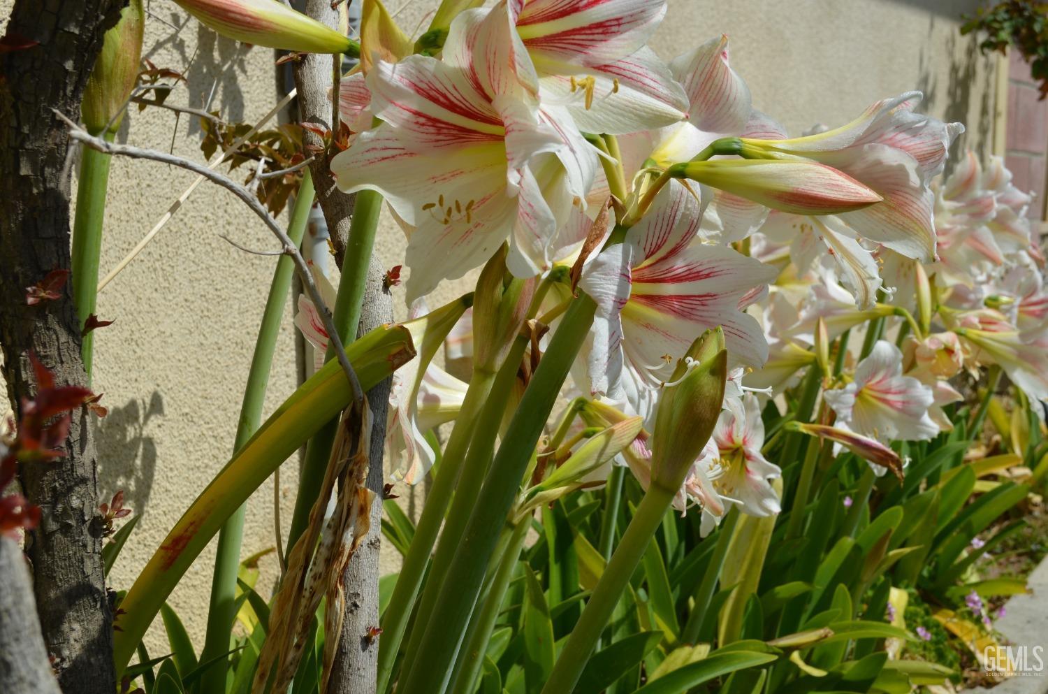 Undisclosed Address Shafter, CA 93263 - Photo 34 of 34